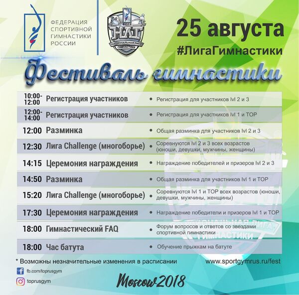 Фестиваль гимнастики Фестиваль гимнастики