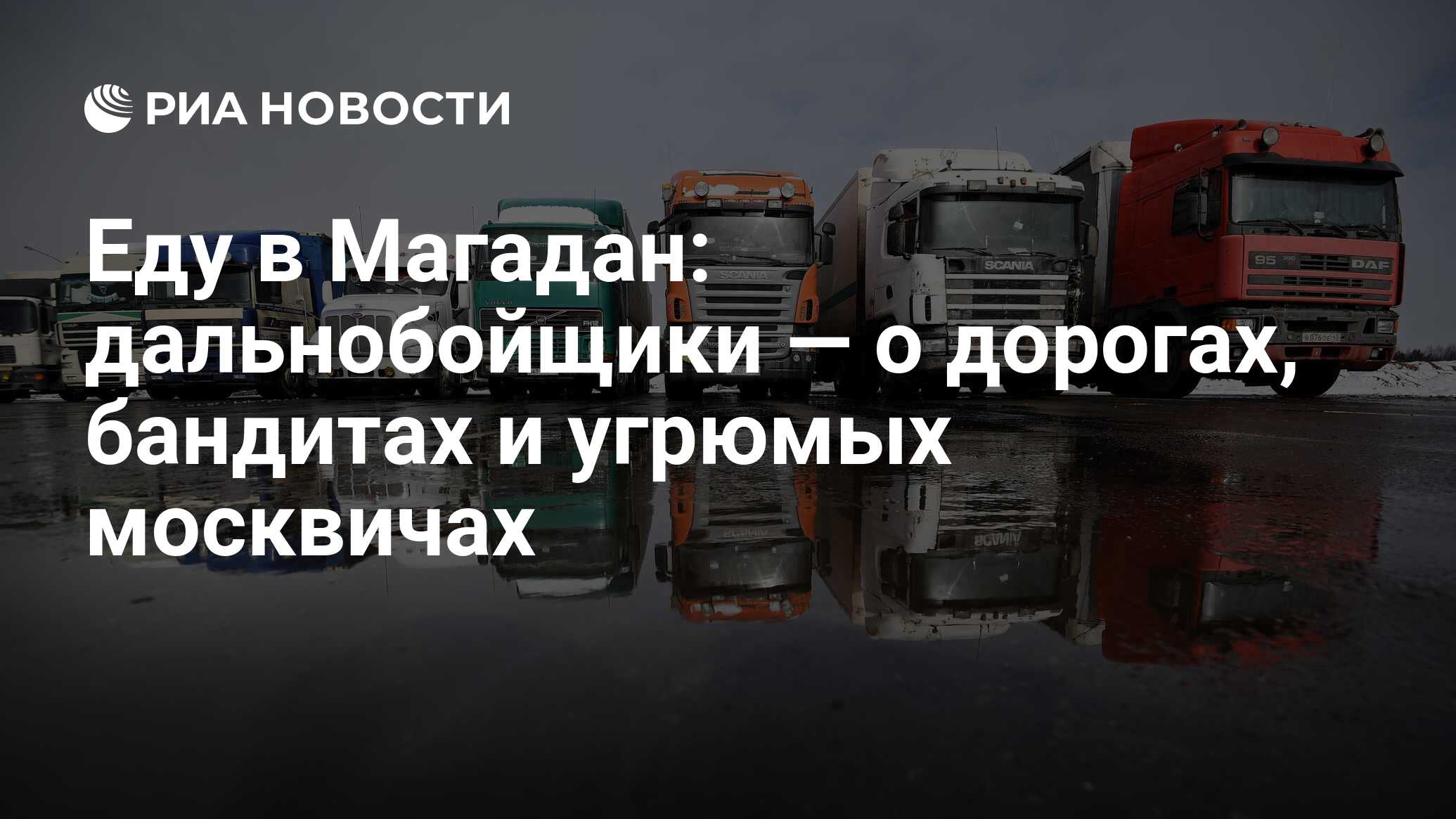 Программа про животных ютуб