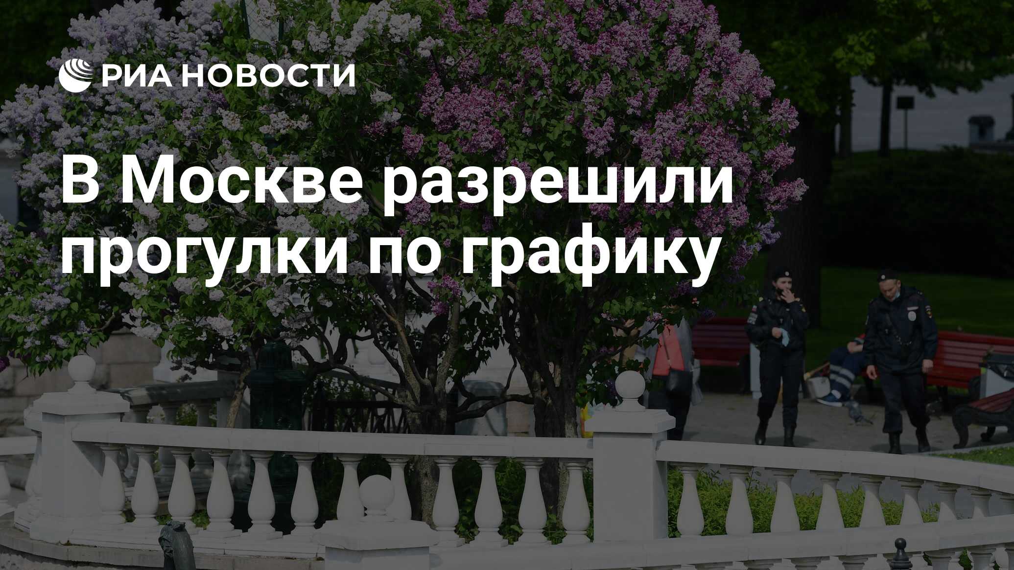 Разрешили прогулки. Разрешили прогулки