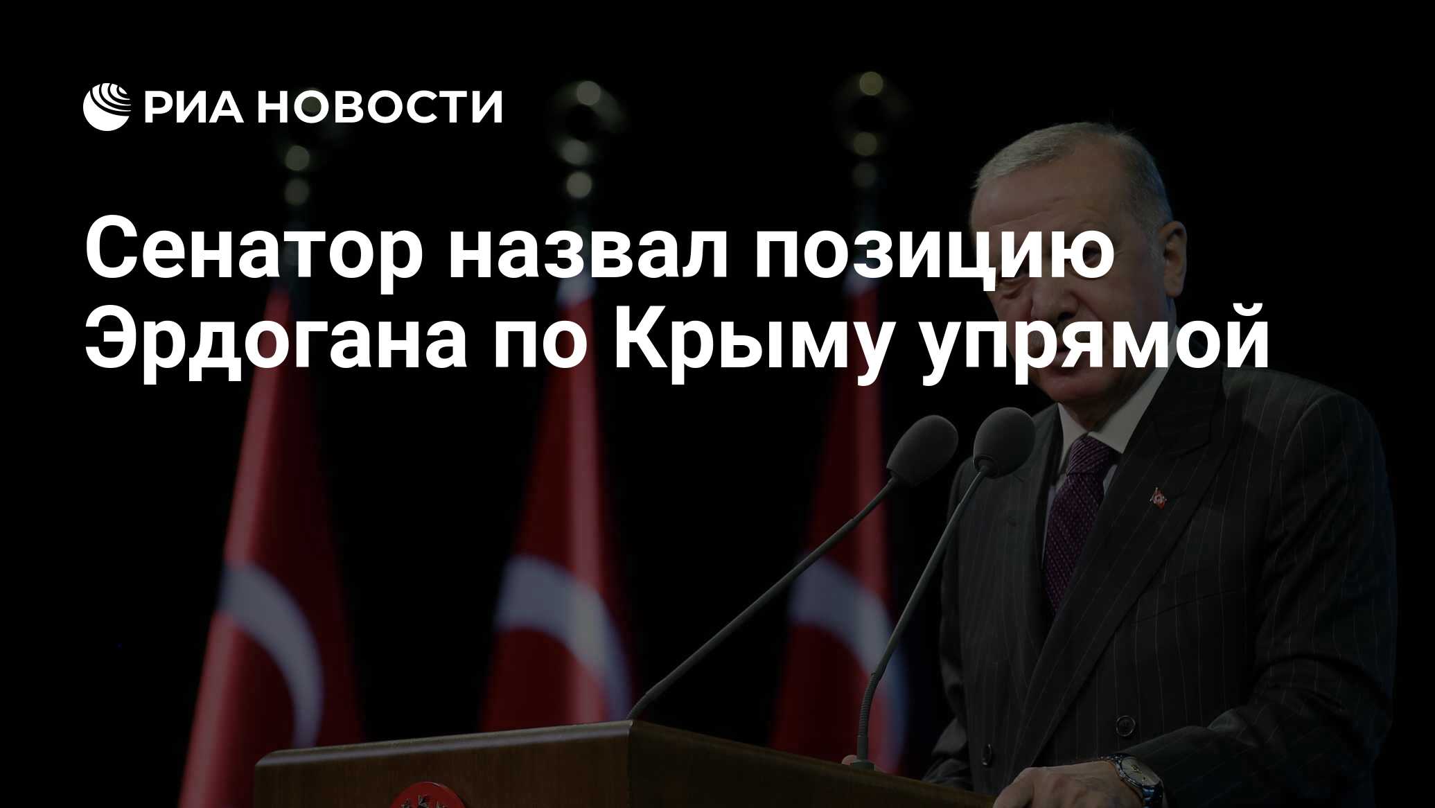 Сенатор назвал позицию Эрдогана по Крыму упрямой